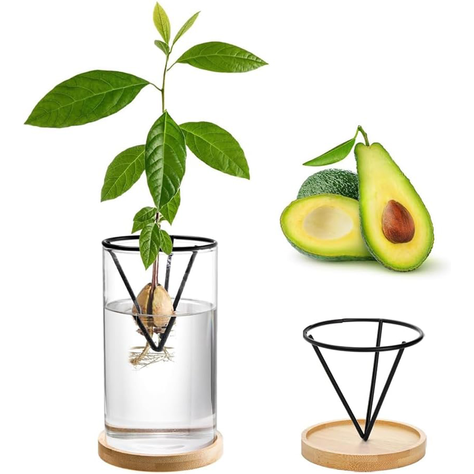 1Set Avocado Tree Growing Kits - Crystal Growing Kit review and price