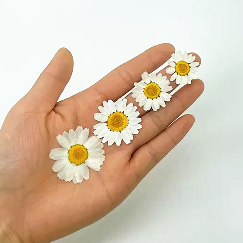 100Pcs Natural White Crystal C - Crystal Growing Kit review and price