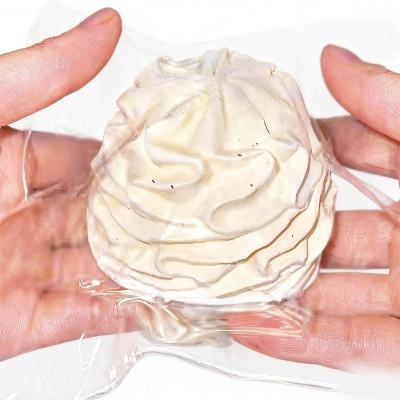 Cream Roll Slow Rebound Squish - Crystal Growing Kit review and price